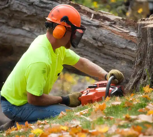 tree services St. Marie